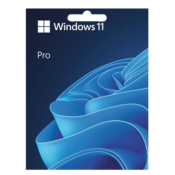 Microsoft Windows Pro 11 64-bit elektronická licencia ESD PC