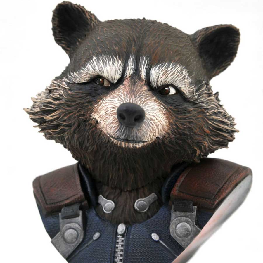 bustrockerraccoonpopis1