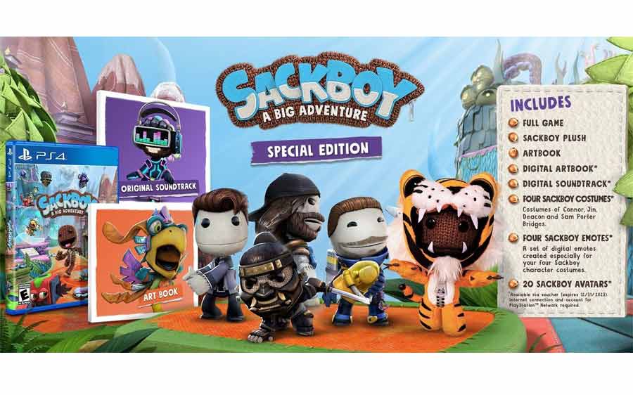 sackboy3