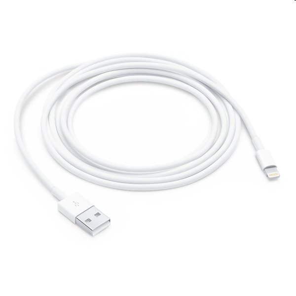 Apple Lightning to USB Cable (2m)