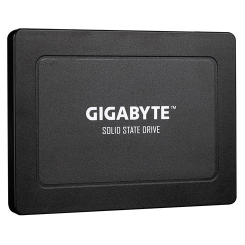 GIGABYTE SSD disk 256 GB 2,5" SATA GP-GSTFS31256GTND
