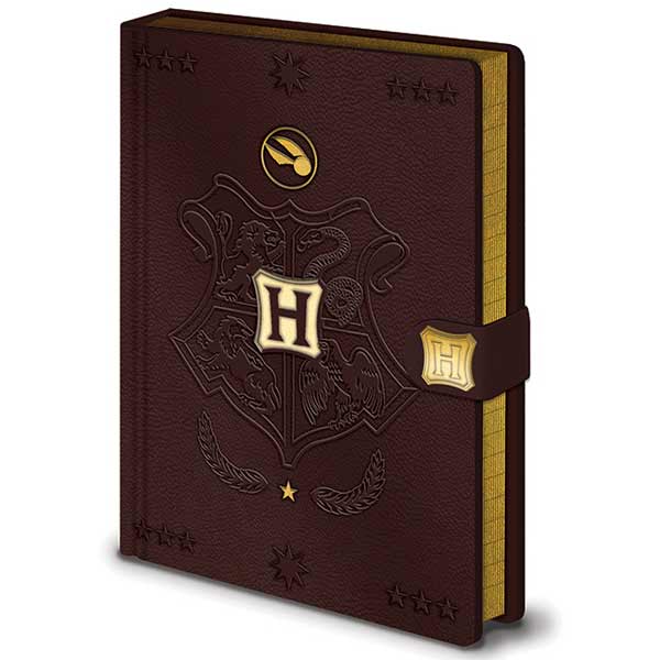 Zápisník Quidditch Premium A5 (Harry Potter)
