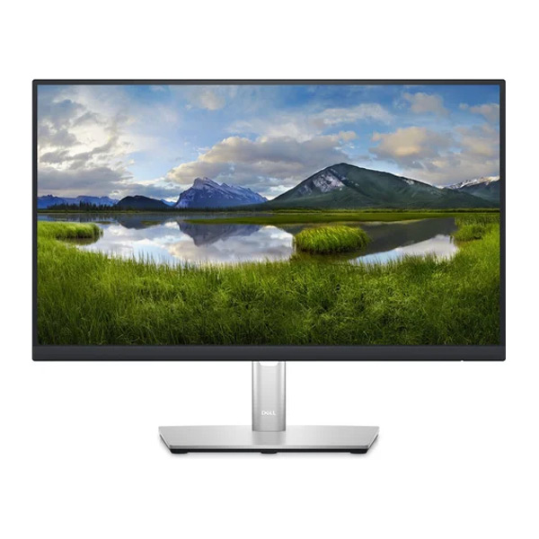 DELL P2422HE 24