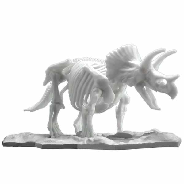 Dinosaur Model Kit Skeleton Triceratops