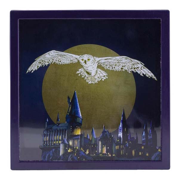 Hedwig Frame Money Box (Harry Potter) PP10384HP