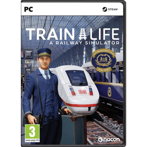 Train Life: A Railway Simulator PC CIAB