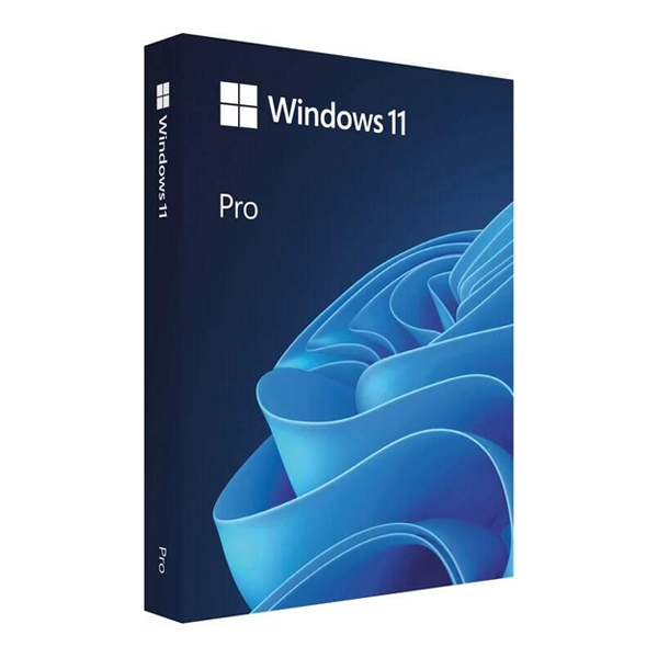 E-shop Microsoft Windows 11 Pro 64-bit OEM DVD, CZ FQC-10525