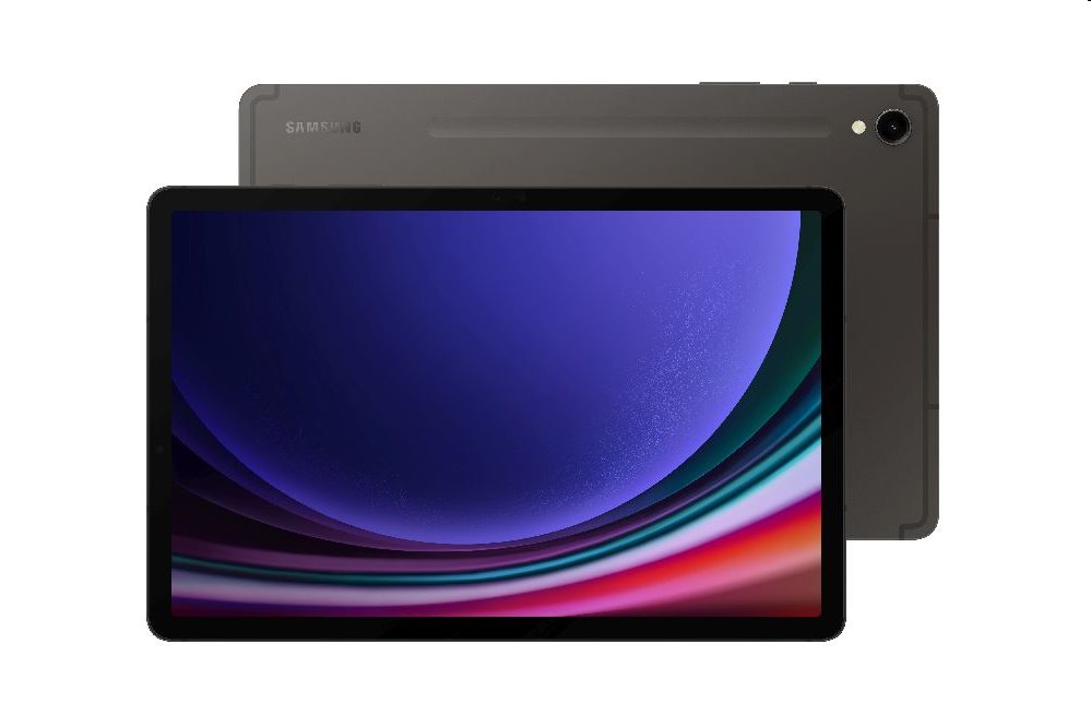 Samsung Galaxy Tab S9, 12/256GB, sivá, Trieda A - použité, záruka 12 mesiacov