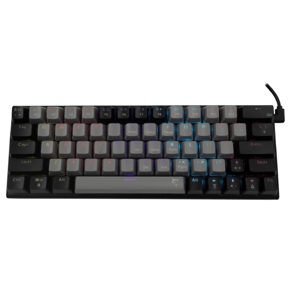 White Shark mechanická herná klávesnica WAKIZASHI, modrý switch, US, čierna/sivá