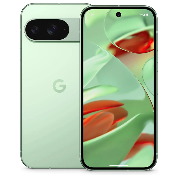 Google Pixel 9, 256GB, Wintergreen, Trieda A – použité, záruka 12 mesiacov