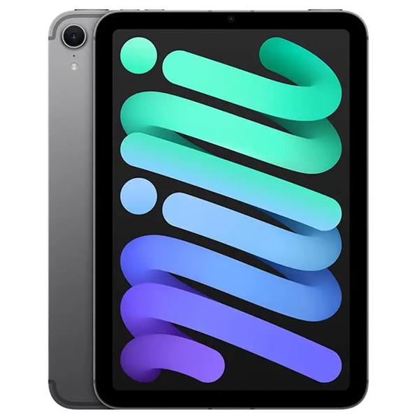 iPad mini Wi-Fi + Cellular 256GB Kozmický sivý (2024)