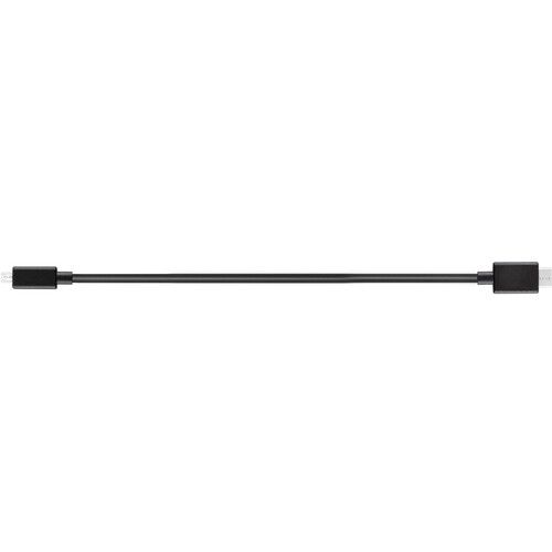 DJI R Mini-HDMI to Micro-HDMI Cable (20 cm)