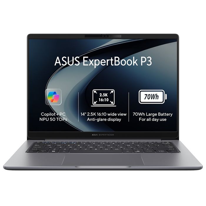 ASUS ExpertBook P3/Ryzen AI 5 330/16GB/512GB SSD/AMD Radeon/14" WQXGA/Win11Home/Gray