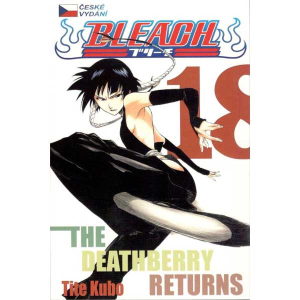 Bleach 18