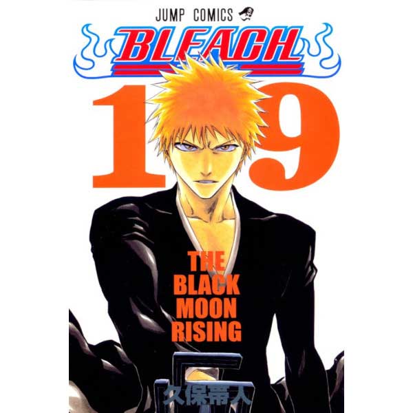 Bleach 19