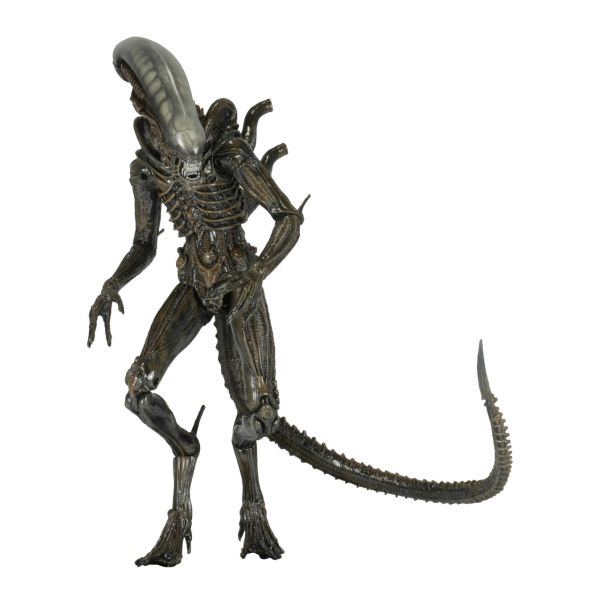 Isolation Xenomorph (Aliens: Isolation)