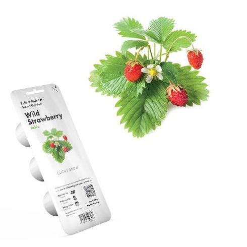Click & Grow Wild Strawberry
