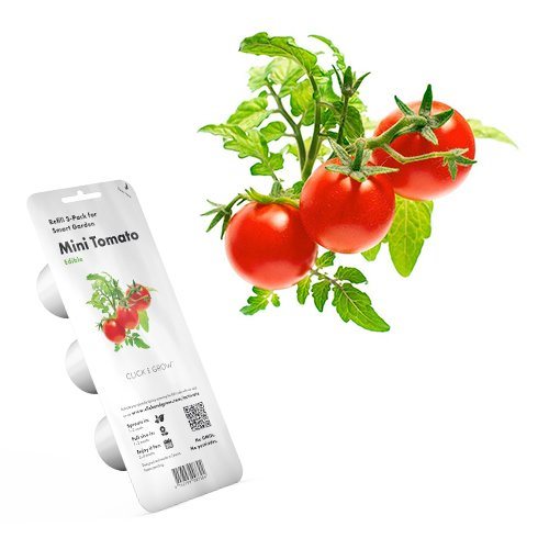 Smart Garden Mini rajčiny