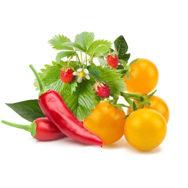 Click and Grow ovocie & zelenina mix 3 ks