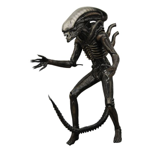 Xenomorph (Aliens)