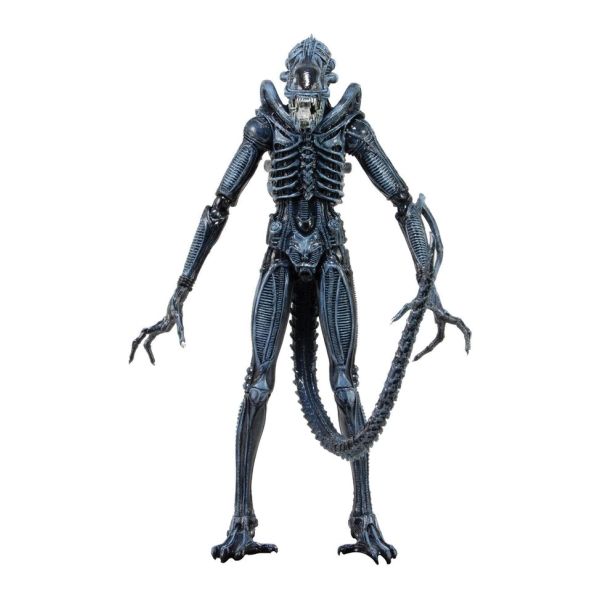 Xenomorph Warrior, blue (Aliens)