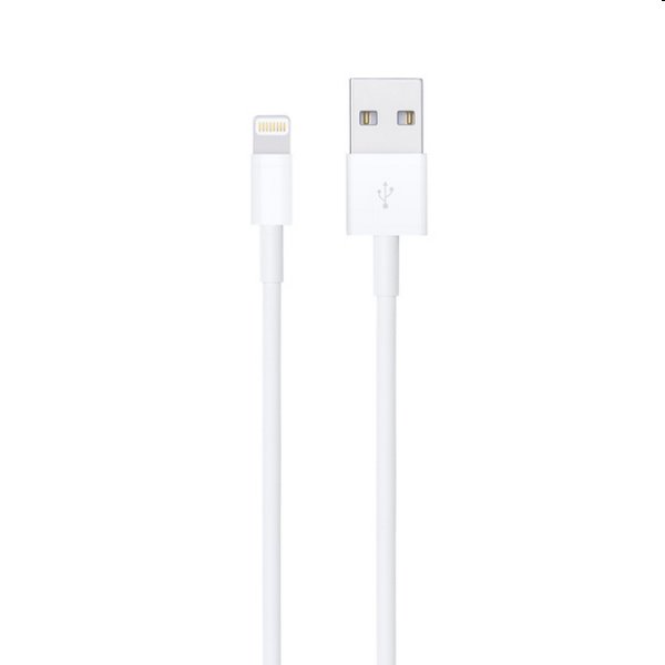 Apple Lightning to USB Cable (2m)