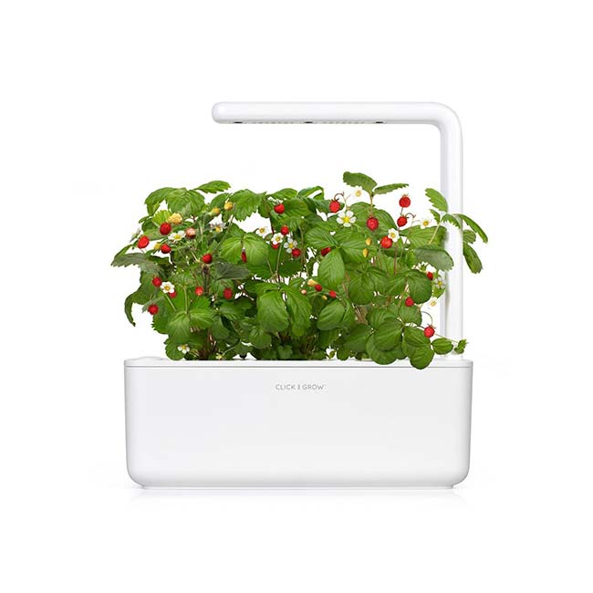 Click And Grow Smart Garden 3 kvetináč, biely