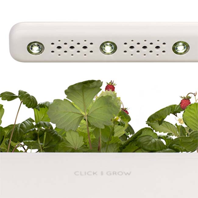 Click And Grow Smart Garden 3 kvetináč, sivý