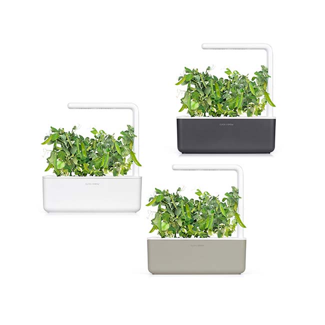 Click And Grow Smart Garden 3 kvetináč, sivý