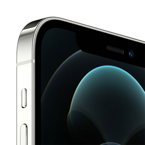 iPhone 12 Pro, 256GB, strieborná