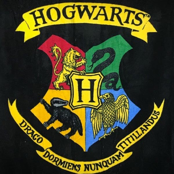 Osuška Hogwarts (Harry Potter)
