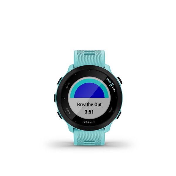 Garmin Forerunner 55, modré