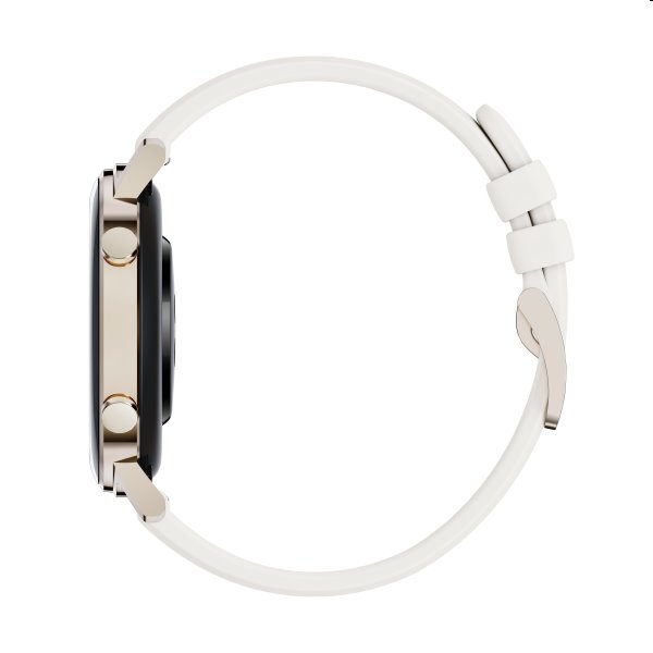 huawei gt2 elegant 42mm