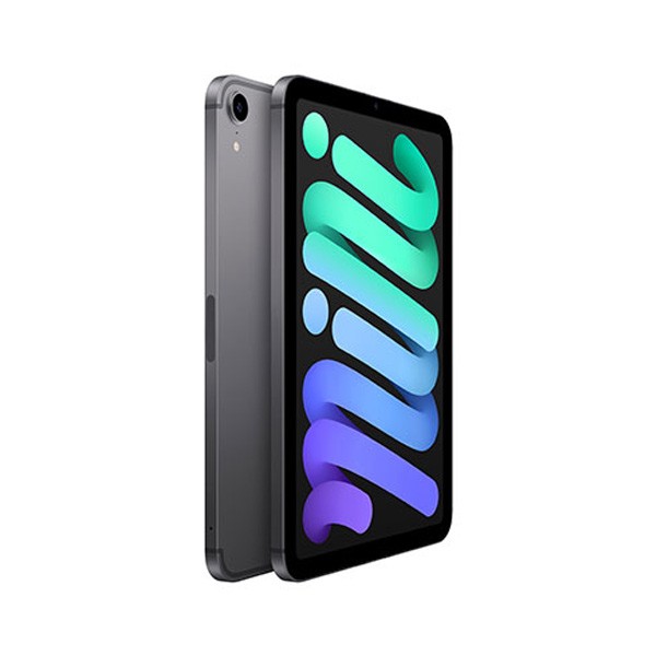 iPad mini Wi-Fi + Cellular 256GB Kozmický sivý (2021)