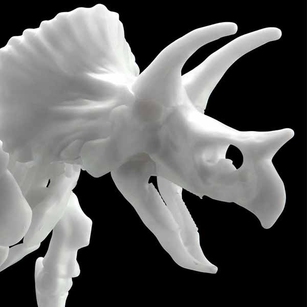 Dinosaur Model Kit Skeleton Triceratops