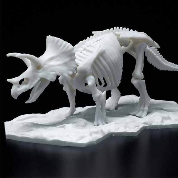 Dinosaur Model Kit Skeleton Triceratops