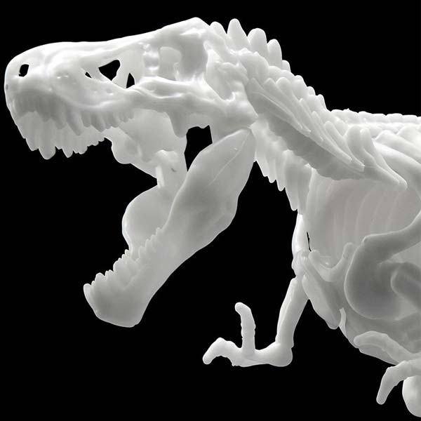 Dinosaur Model Kit Skeleton Tyrannosaurus