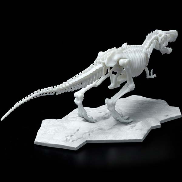 Dinosaur Model Kit Skeleton Tyrannosaurus