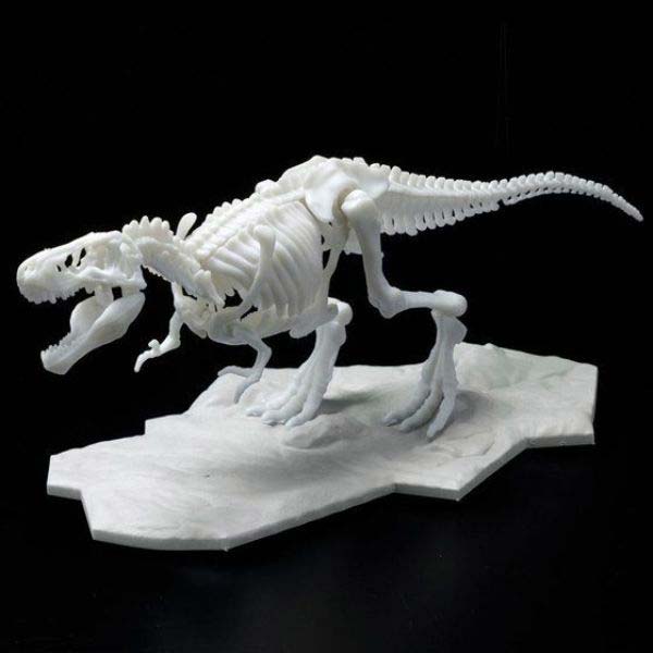 Dinosaur Model Kit Skeleton Tyrannosaurus