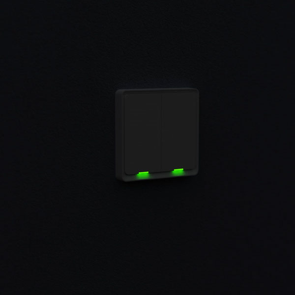 Tesla Smart Switch Dual ZigBee
