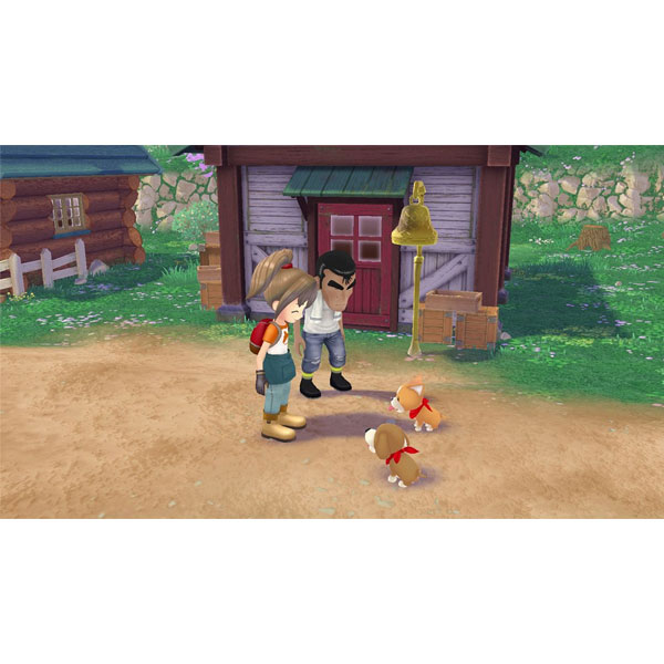 Story of Seasons: A Wonderful Life