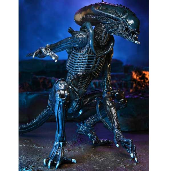 Figúrka Arachnoid Alien (Alien vs. Predator) Figúrka Arachnoid Alien (Alien vs. Predator)