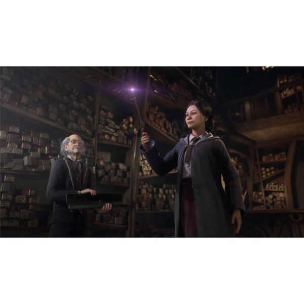 Hogwarts Legacy Hogwarts Legacy