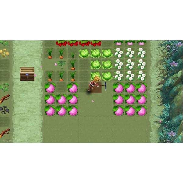 Rune Factory 3 Special (Golden Memories Edition) Rune Factory 3 Special (Golden Memories Edition)