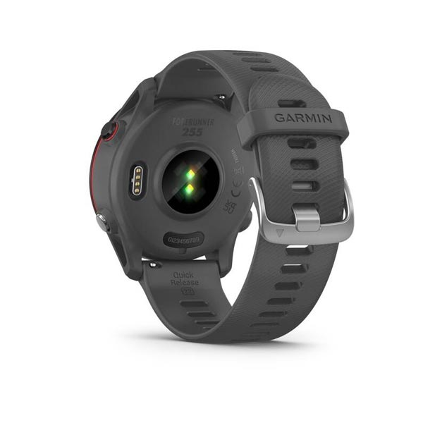 Garmin Forerunner 255, Slate Grey