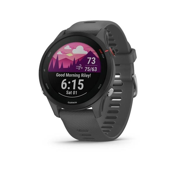 Garmin Forerunner 255, Slate Grey