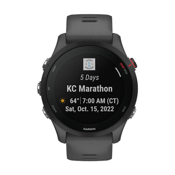 Garmin Forerunner 255, Slate Grey