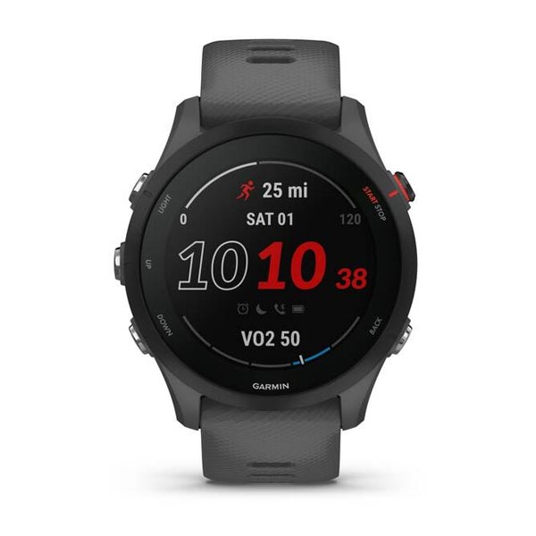 Garmin Forerunner 255, Slate Grey