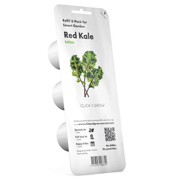 Smart Garden Kučeravý kel