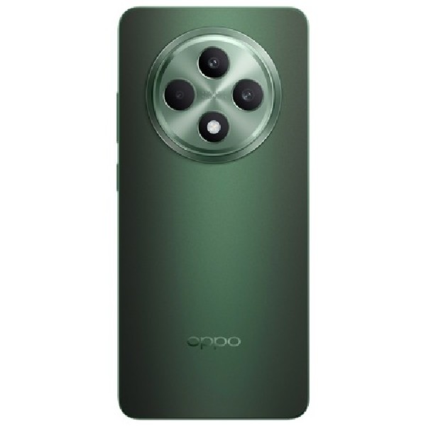 OPPO Reno12 FS 5G 12/512GB, Black Green OPPO Reno12 FS 5G 12/512GB, Black Green